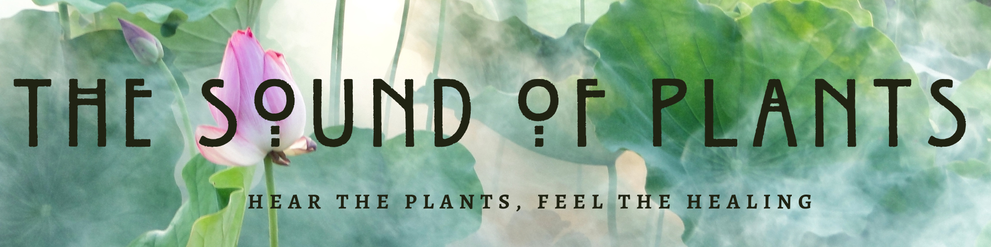 Sound of Plants - hear the plants, feel the healing. Von Martina M. Schuster