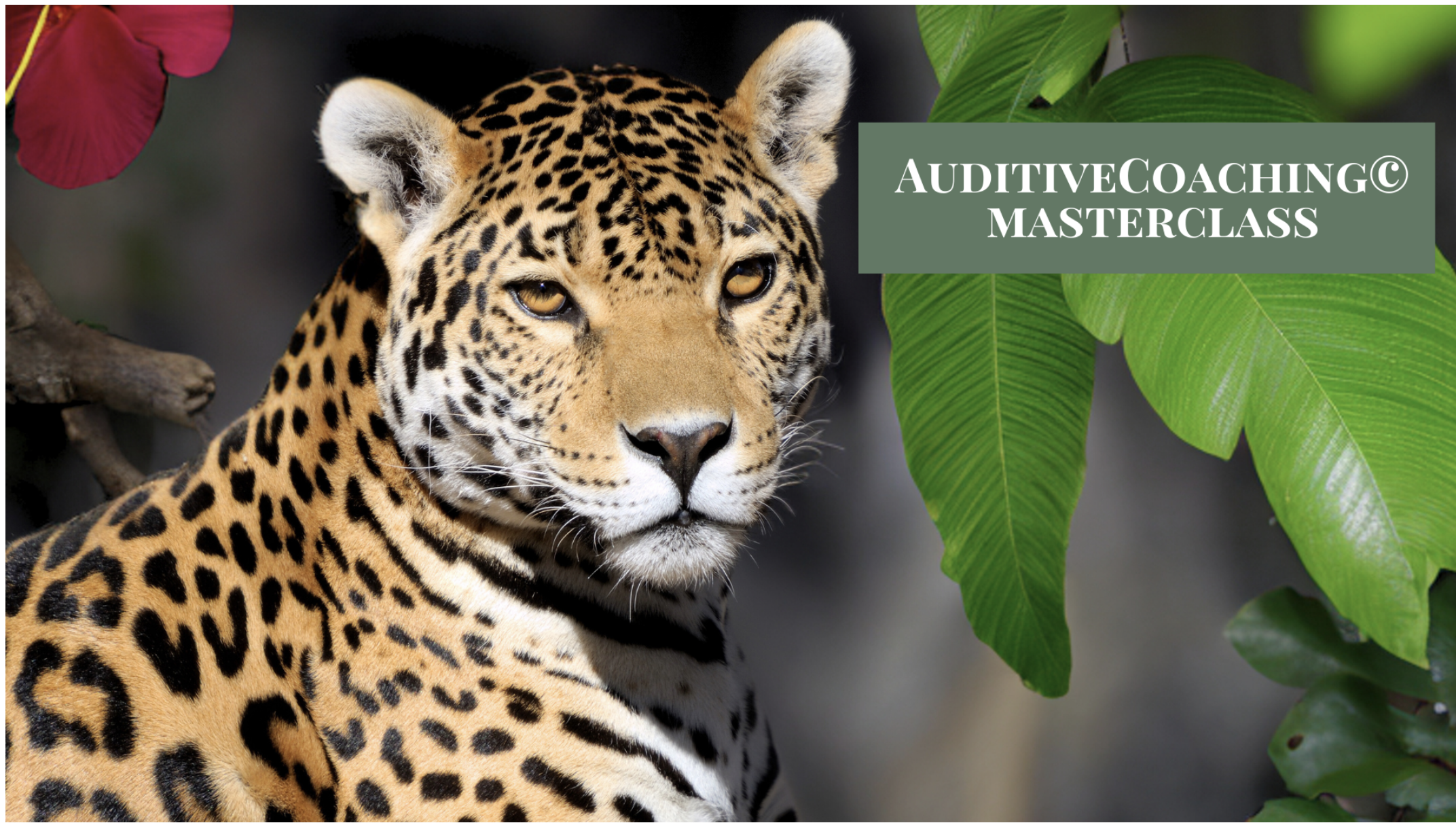 AuditiveCoaching© Masterclass by Martina M. Schuster