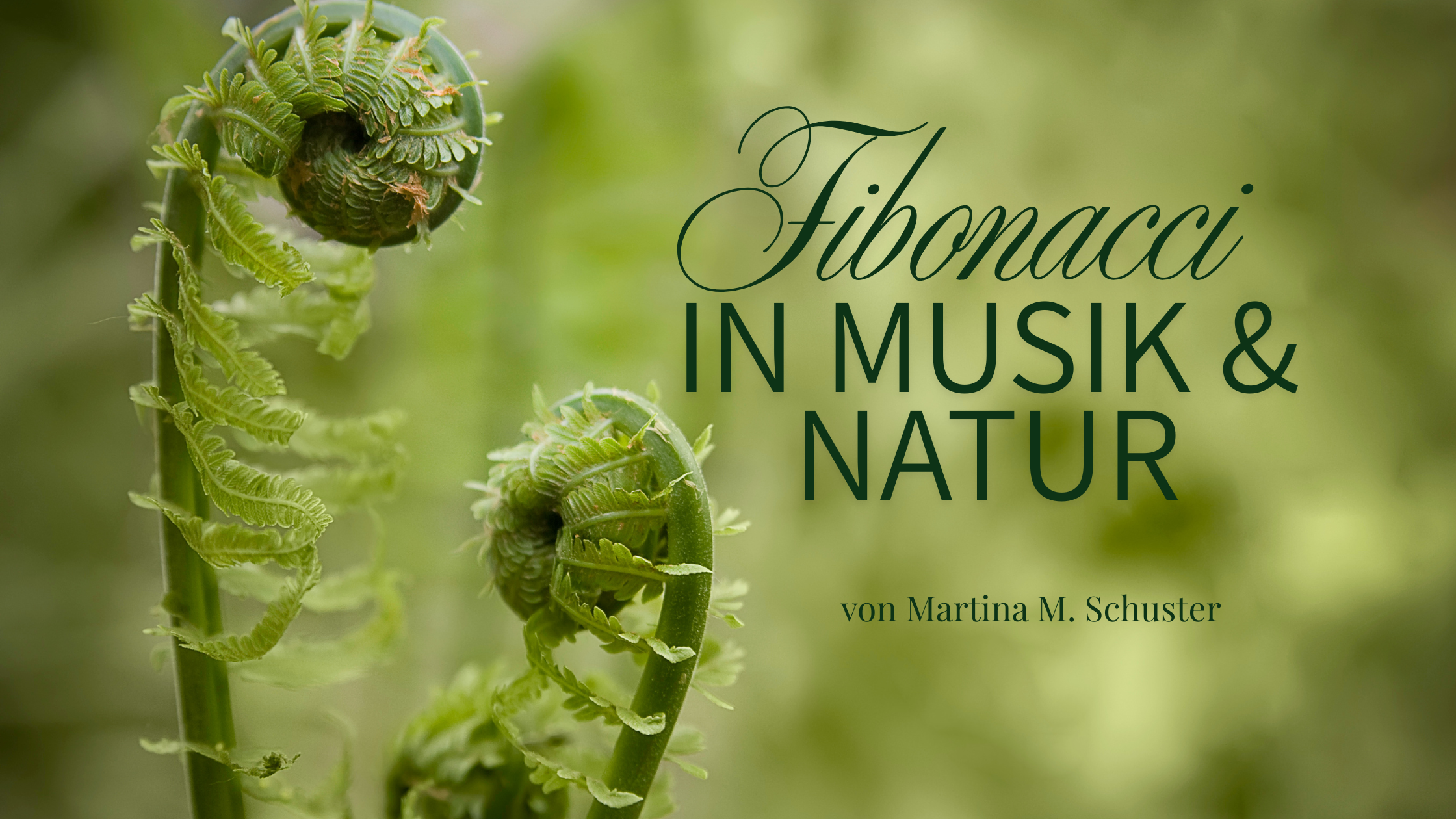 So wie der Farn sich öffnet, kann sich auch der Mensch entfalten – getragen von einem inneren Rhythmus, der tiefer geht als Worte.